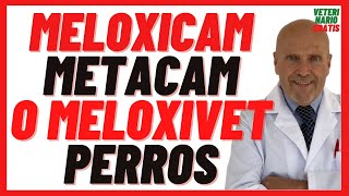 Antiinflamatorio Meloxicam Meloxivet Metacam🔴 Dosis Efectos Secundarios Para que sirve en Perros [upl. by Anirda]