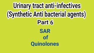 SAR of quinolonesUT antiinfectives  Medicinal Chemistry  III B Pharm VI SemUnit 3  III Pharm D [upl. by Anselmo451]