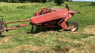 Cutting 2nd cut hay with “new” Hesston PT 10 haybine [upl. by Yendic]