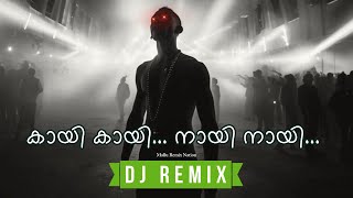 Kaayi Naayi  Baby Jean DJ Amal X Remix • Malayalam Remix 2024 [upl. by Ahsenroc683]