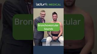 Discover Bronchovesicular Breath Sounds 🫁 doctor usmle [upl. by Anoid54]