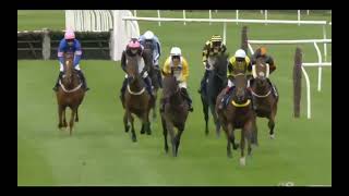 Kingston James wins on hurdle debut at Hexham 4 October 2024 [upl. by Aihsemot]