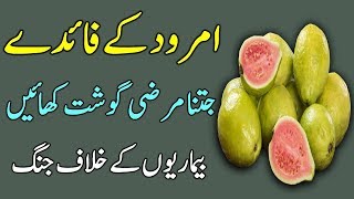 Guava Benefits in Urdu  Best Health Tips  Amrood Ke Faide [upl. by Esil]