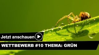 TOP 10 FOTO WETTBEWERB 10 GRÜN [upl. by Jaan468]