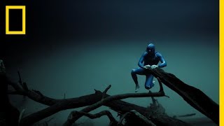 Experience the Underwater World Through the Eyes of a Free Diver  Short Film Showcase [upl. by Atekihs99]