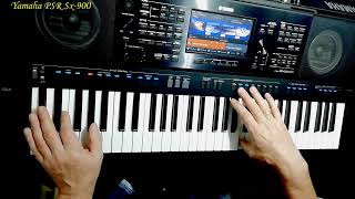 Vangelis  La Petite Fille de la Mer cover Yamaha PSR SX900 [upl. by Gula]