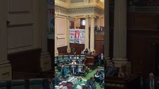 Climate Activists Interrupt Victorian Parliament  10 News First [upl. by Wilmott683]