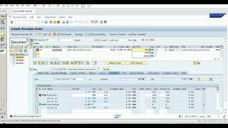 How to create PO with batch number in SAP MM [upl. by Nealah]