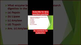 What Enzyme Begins The Process Of Starch Digestion In The Mouth  amylase [upl. by Sudderth]