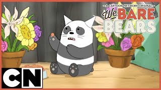 We Bare Bears  Pet Shop Clip 3 [upl. by Ioves]