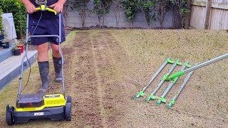 Ryegrass Lawn Scarify and Sand Topdress after Scalping [upl. by Anyer]