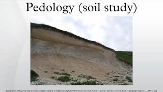 Pedology soil study [upl. by Pressey]