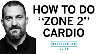 How amp Why to Get Weekly quotZone 2quot Cardio Workouts  Dr Andrew Huberman [upl. by Nnaeus]