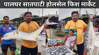 Palghar Satpati Fish Market In Mumbai  Satpati Fish Market  Palghar Wholesale Fish Market [upl. by Haberman]