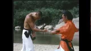 quotShaolin Drunken Monkquot 1982 Final Fight  Gordon Liu vs Eagle Han FOR PROMO ONLY [upl. by Itsirc]