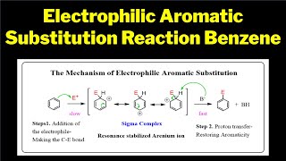 Electrophilic Aromatic Substitution Reaction of Benzene Mechanism Benzenes Electrophilic Dance [upl. by Yllitnahc]