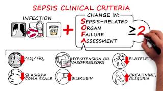 Sepsis and Septic Shock  2016 Consensus Definitions [upl. by Nanfa]