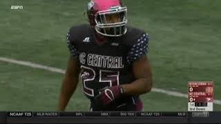 2015 MEAC Football Bethune Cookman Wildcats  North Carolina Central Eagles [upl. by Aleac]