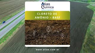 Cloreto de Amônio – BASF [upl. by Nylak]