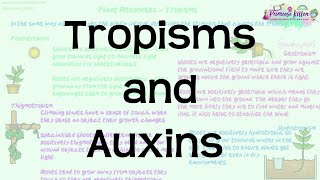 Tropisms and Auxins  Revision for Biology ALevel and IB [upl. by Kirch]