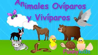 Animales ovíparos y vivíparos para niños  Videos educativos para niños [upl. by Nichols]