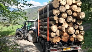 Holztransport in Südtirol mit Valtra T 175 und Este Forstanhänger [upl. by Ebner606]