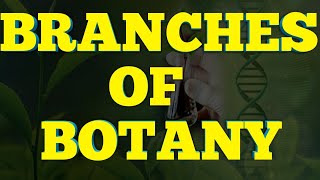 Branches of Botany With brief detail Branches of Biology  NCERT 11 Biology [upl. by Enitnelav]