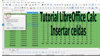 Tutorial LibreOffice Calc Cómo insertar celdas y rango de celdas [upl. by Perl]