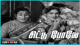 Chittu Pole Mullai Mottuppole Video Song in Tenali Raman Movie  Sivaji Ganesan  Tamil Video Song [upl. by Akym]