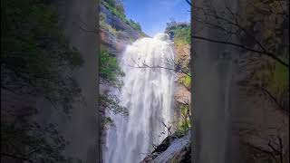 Vattakanal waterfalls at Kodaikanal viral shilpathoughts ytshorts vattakanal kodaikanal [upl. by Maxa]