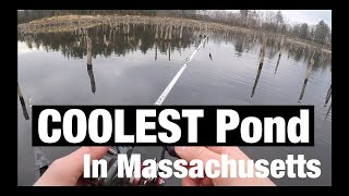 COOLEST Pond In Massachusetts [upl. by Sib]