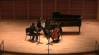 Smetana Piano Trio in G minor Op15 [upl. by Ived677]