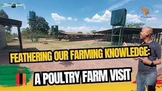 S 2 Ep 38  Feathering Our Farming Knowledge  A Poultry Farm Visit in Zambia [upl. by Mandy265]