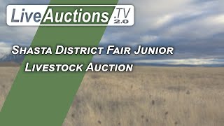 Shasta District Fair Junior Livestock Auction [upl. by Anawqahs]