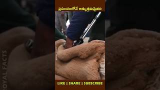 Worlds Finest Natural Fibershortvideo factsintelugu youtubeshorts [upl. by Eislek]