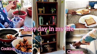 Morning to evening full busy day in my lifehow I manage all alonecook and clean with me vlog🍀 [upl. by Renwick]