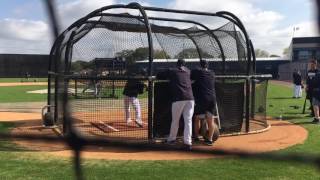 Yankees Gary Sanchez works on hitting catching [upl. by Hirai]