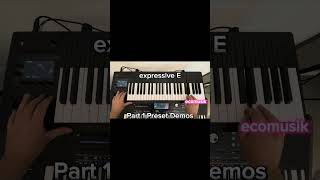 Part 1 The Synth Breakthrough Exploring Osmose By Expressive E [upl. by Ellehcsor534]