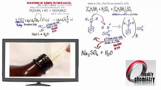 Amines 4 Reactions with acids to form Salts [upl. by Goodspeed684]