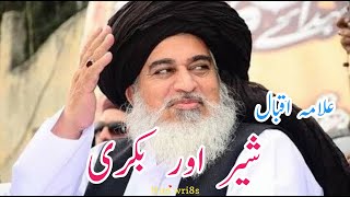 Sher aur Bakri  Allama Iqbal Poetry  Allama khadim hussain rizvi  khadim hussain rizvi status [upl. by Kimble586]