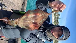 Big Squid Portsea Pier like fishing life youtube fyp yosha 🦑🔥 [upl. by Nauqat]