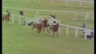 1982 Highland Spring Derby Trial Stakes [upl. by Blaseio]