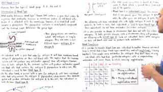 ABO Blood Types [upl. by Maidel]