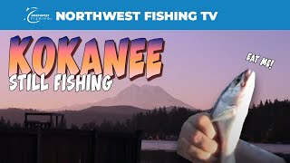 Kokanee Still Fishing [upl. by Eiznekcm]