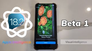 iOS 182 Beta 1 Visual Intelligence First LOOK [upl. by Brodench]