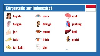 Körperteile auf Indonesisch [upl. by Sweet]