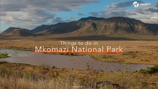 Things to do in Mkomazi National Park unforgettable tanzania tanzaniasafari africa safari [upl. by Rhpotsirhc]