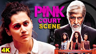 अमिताभ बच्चन का जबरदस्त कोर्ट क्लाइमैक्स सीन  Bollywood Best Movie  Pink Movie Court Scene [upl. by Leo]