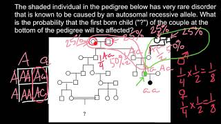 How to solve advanced pedigree problems [upl. by Loreen]