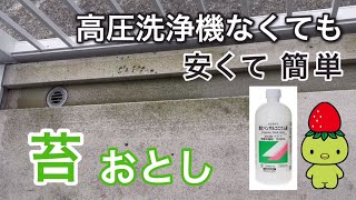 【苔落とし】ベンザルコニウム塩化物液を水で希釈してスプレーするだけで綺麗になりました [upl. by Marra]